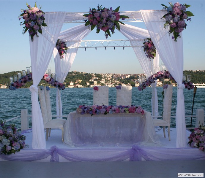 ALAİYE ORGANİZASYON